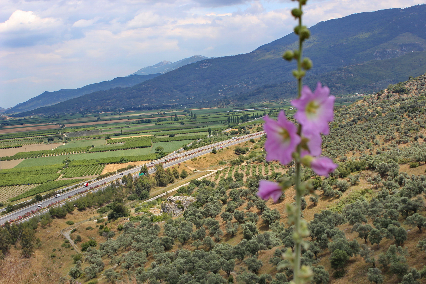 Belevi Monument (the stone massif at lower center-left); from the Tumulus (photo © Daniel C Browning Jr)