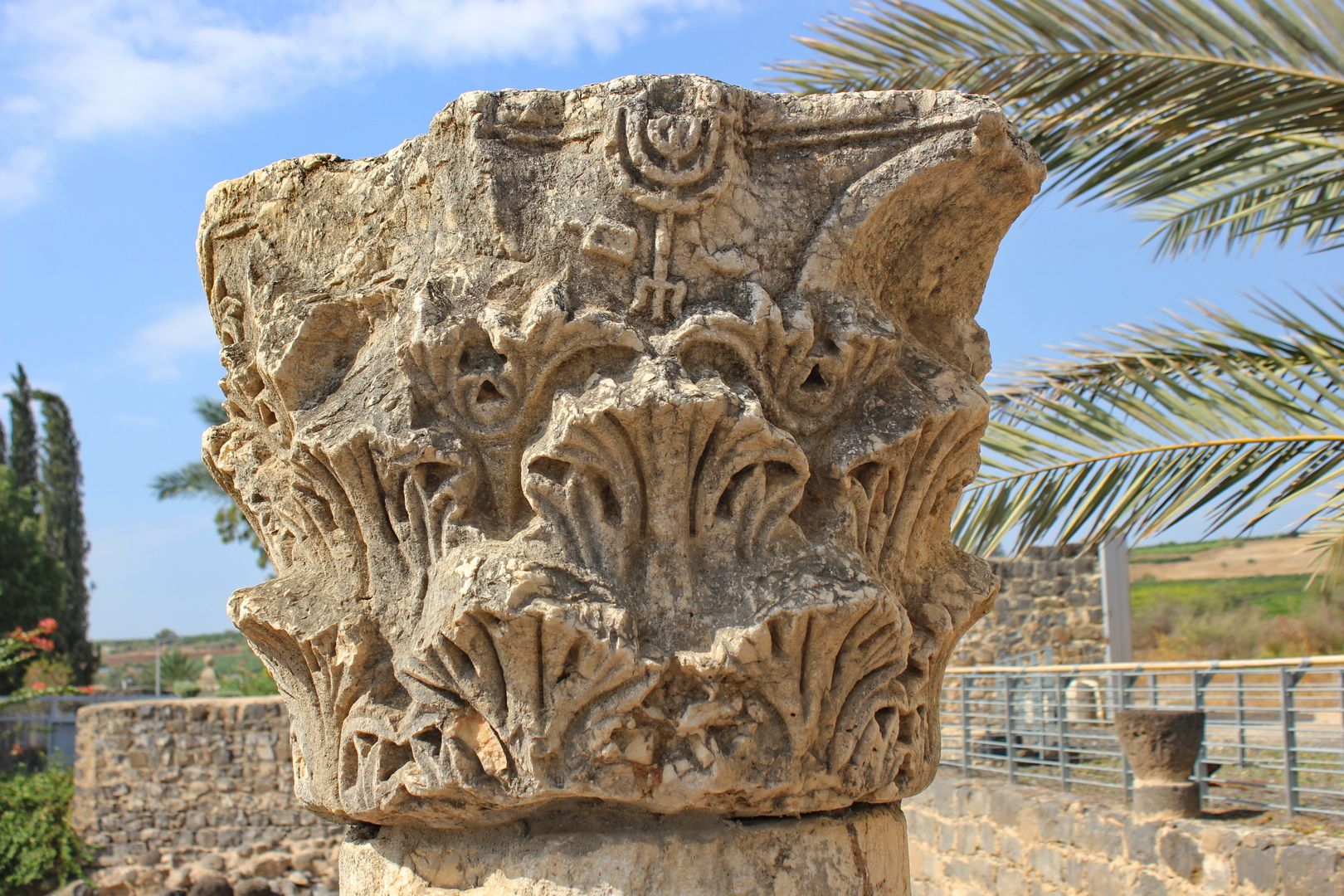 Capernaum: Synagogue