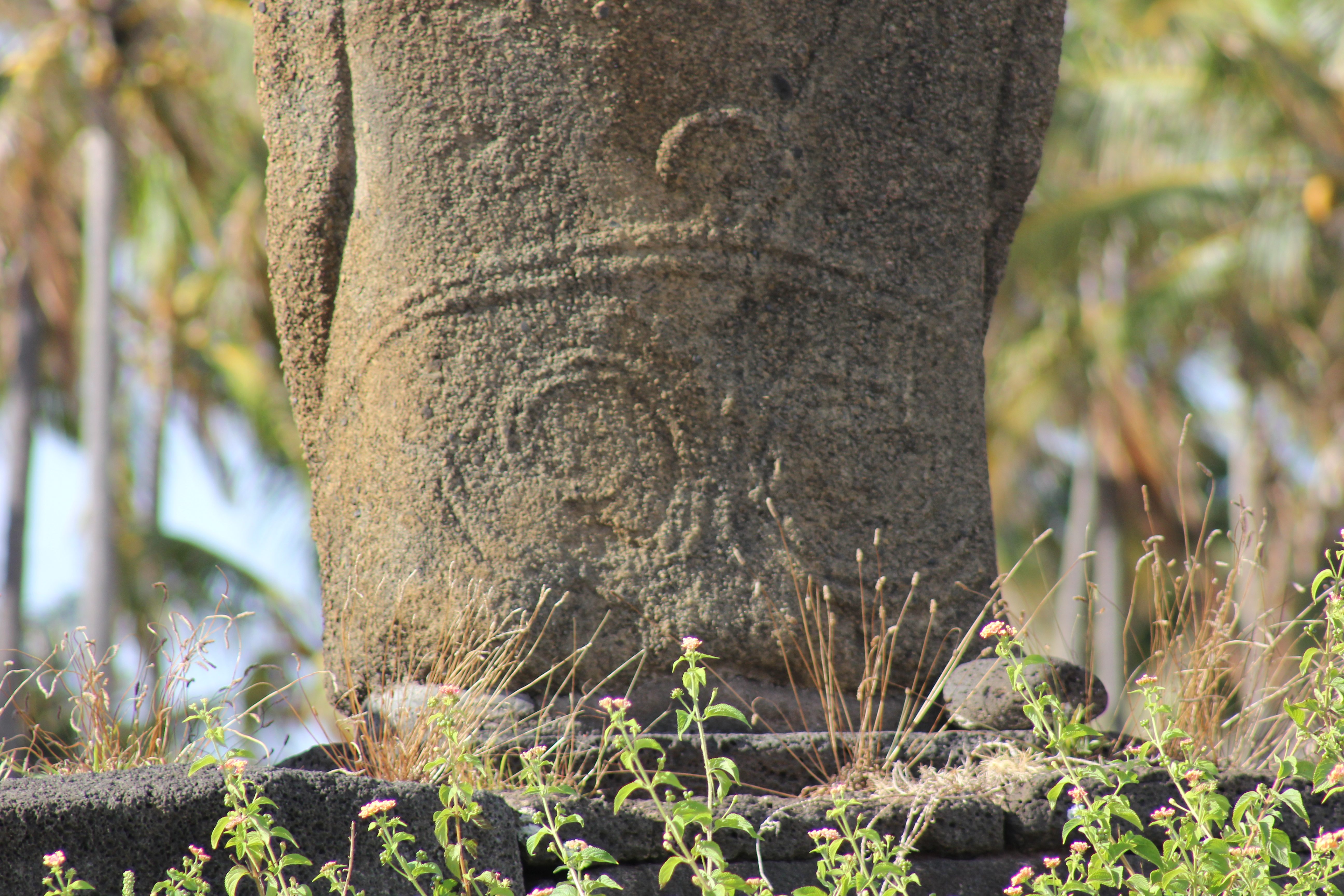 Anakena: Ahu Nau Nau