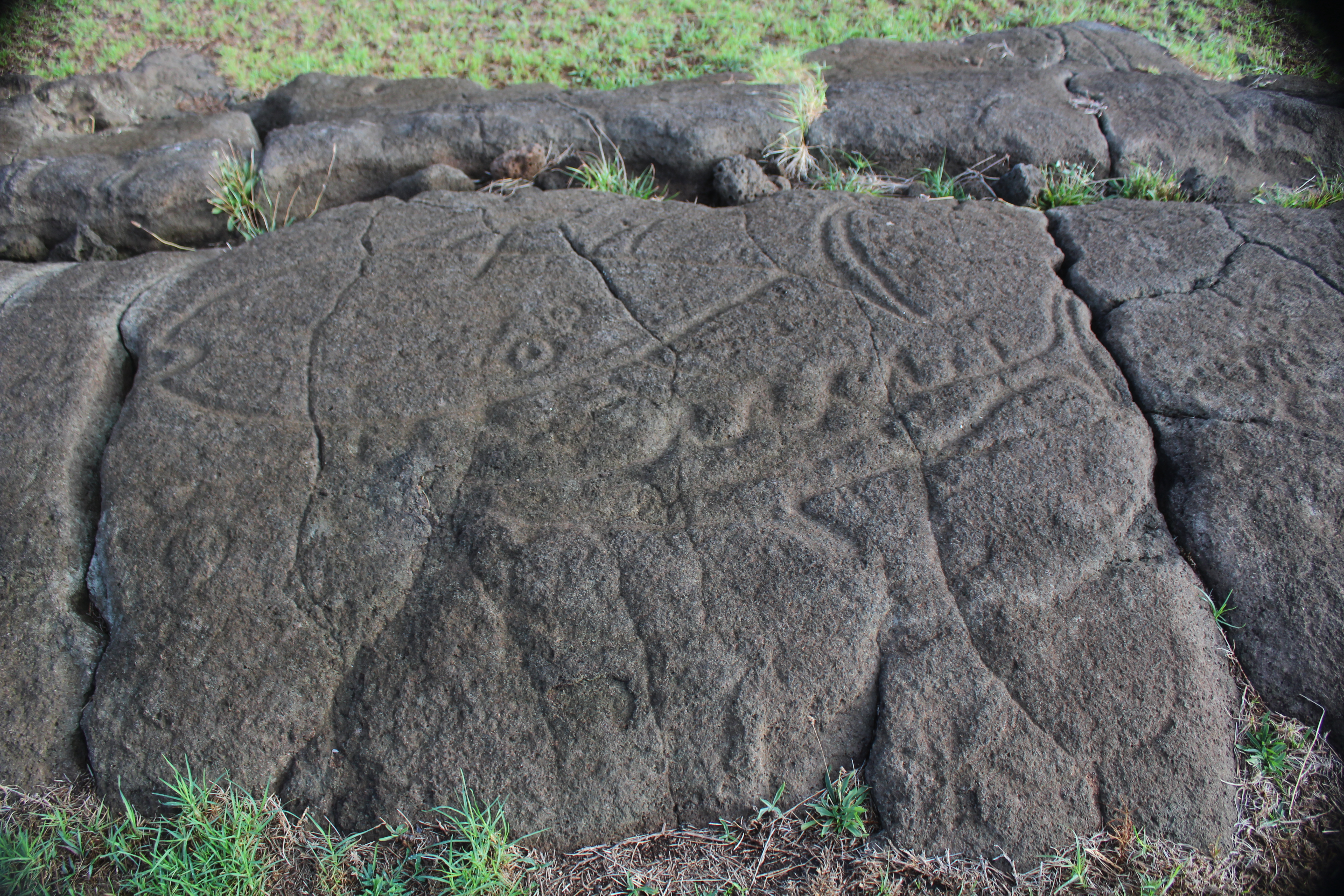 Papa Vaka: Tuna and Shark petroglyphs