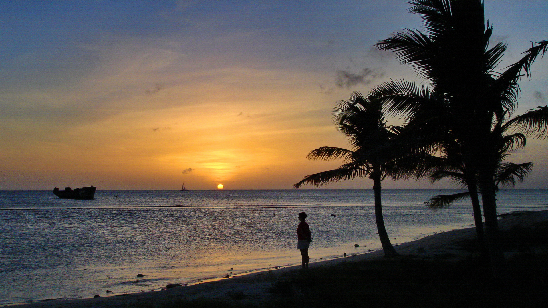 Shipwreck on N Coast of Aruba